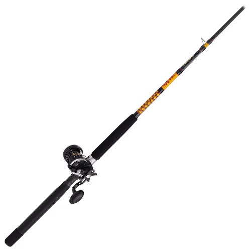 PENN Rival Level Wind/Ugly Stik Bigwater Conventional Combo
