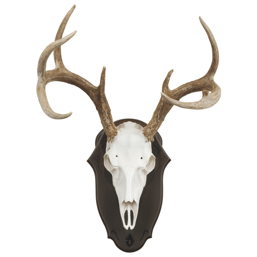 Mountain Mike's Europlaque Desk and Wall Display