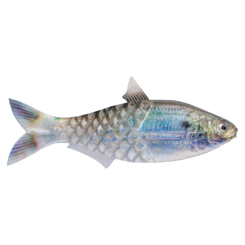 Berkley PowerBait Saltwater Gillydine
