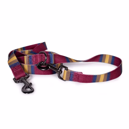 Pendleton Pet Zion National Park Dog Leash