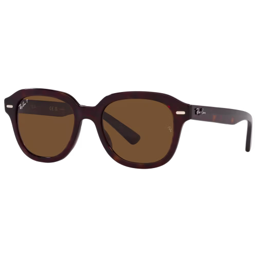 Ray-Ban Erik RB4398 Glass Polarized Sunglasses