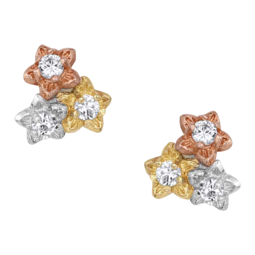 Montana Silversmiths Wildflower Meadow Earrings