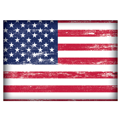 Everyone Loves Buttons USA Flag Souvenir Magnet