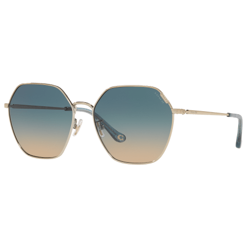 Coach HC7132 Sunglasses for Ladies