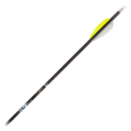 Gold Tip Lightning Youth Arrows