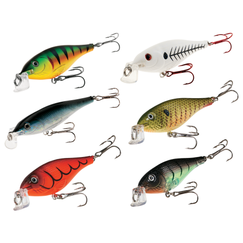 Bass Pro Shops XPS Shallow Suspending Shad 6-Pack