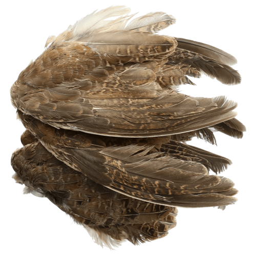 Classic T Designs Quail Wings Dog Training Aid