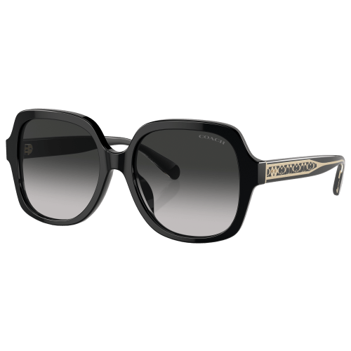 Coach HC8395U Sunglasses for Ladies