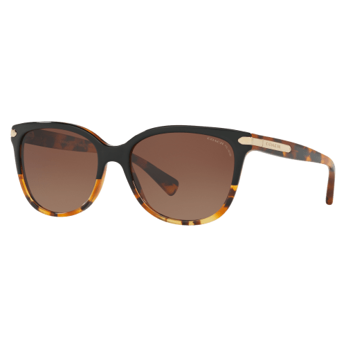 Coach HC8132 Polarized Gradient Sunglasses for Ladies