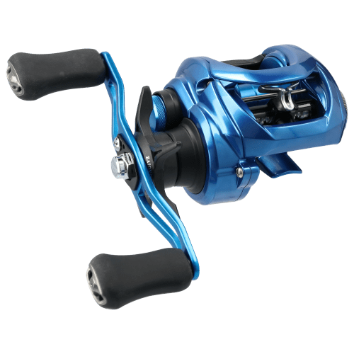 Daiwa Coastal Series TW Baitcast Reel
