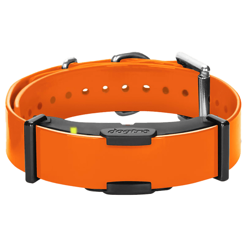 Dogtra ARC E-Collar Dog Training System Add-On Receiver Collar