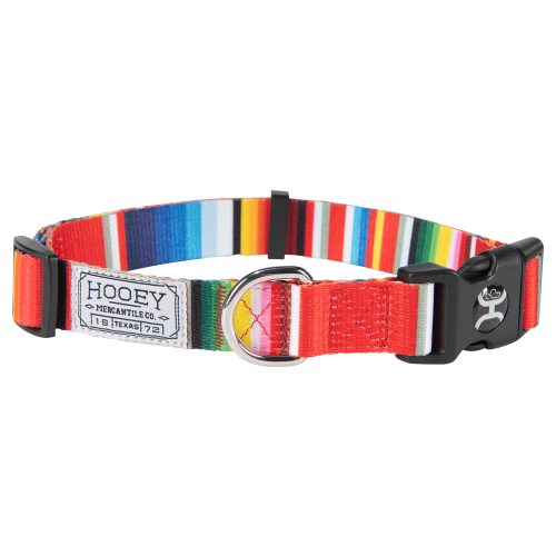 Hooey Nomad Dog Collar