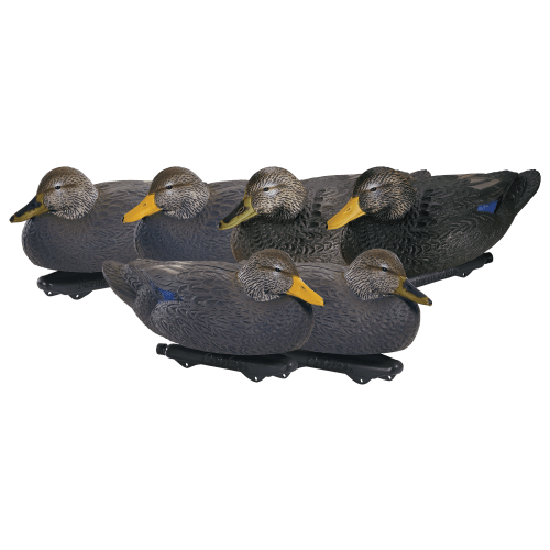 Northern Flight Black Duck Decoys