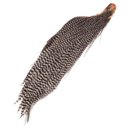 Perfect Hatch Select Grade Half Cape
