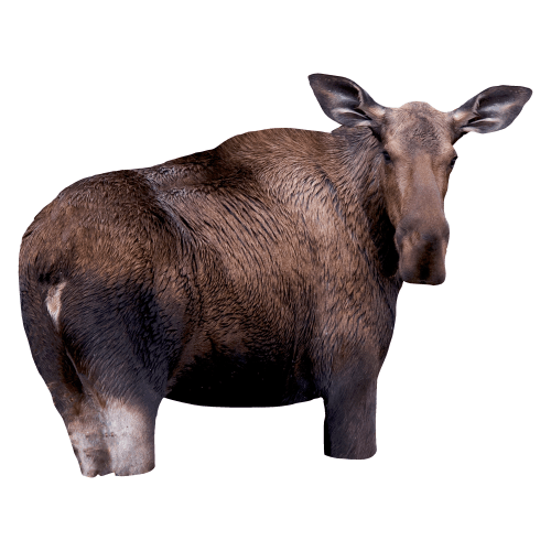 Montana Decoy - Moose II Decoy