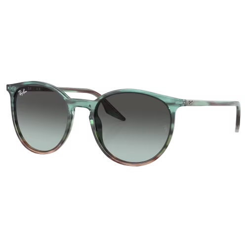 Ray-Ban RB2204 Gradient Glass Sunglasses