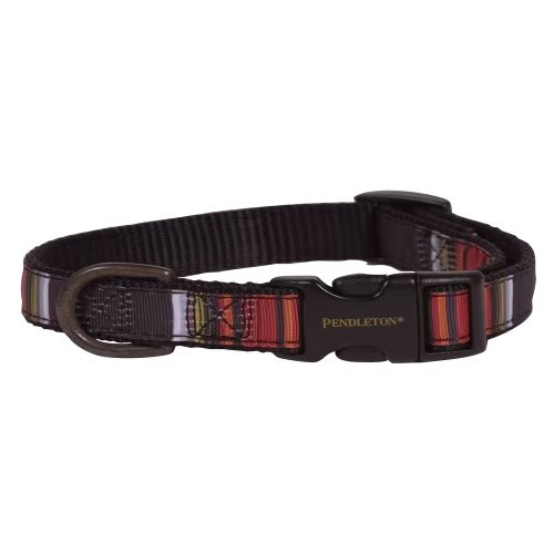 Pendleton National Park Collection Hiker Dog Collar