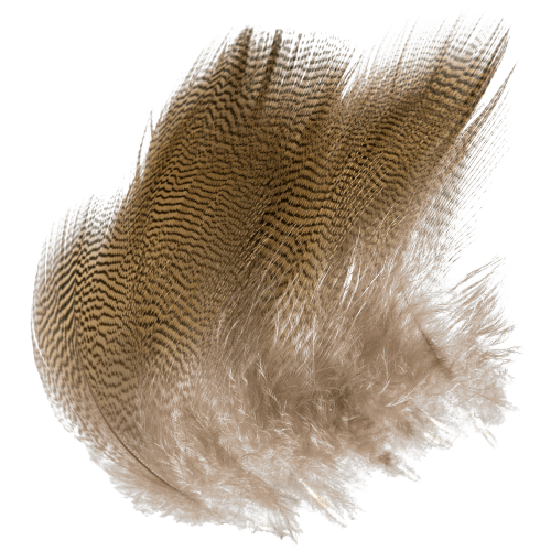 Cabela's Wood Duck Feathers