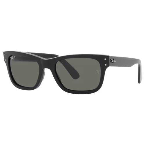 Ray-Ban Mr. Burbank RB2283 Glass Polarized Sunglasses