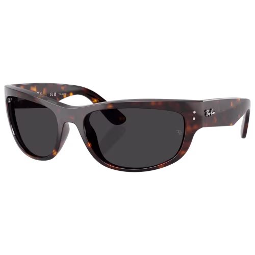 Ray-Ban Mega Balorama RB2289 Glass Polarized Sunglasses