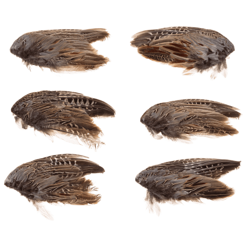 Classic T Designs Wild Pheasant Wings