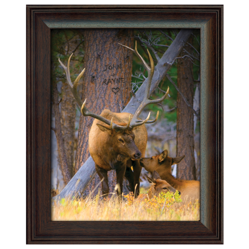Elk Family Personalized Framed Art by Scott Kennedy