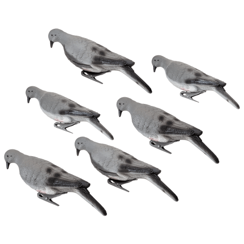 Cabela's Dove Decoy 6 Pack