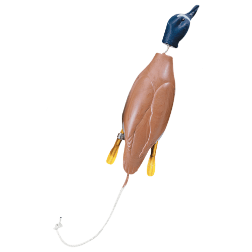 Dokken Dead Fowl Trainer Bluewing Teal