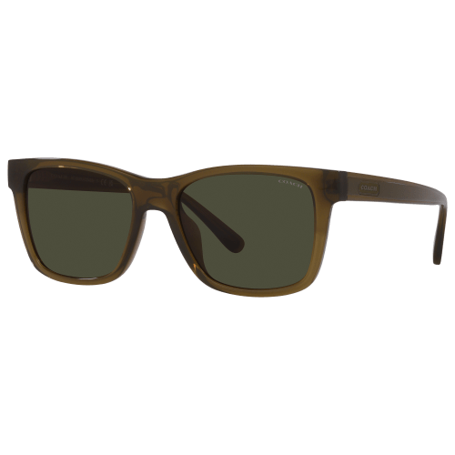 Coach HC8359U Sunglasses