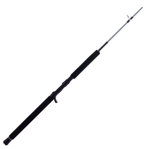 PENN Prevail III Jig Conventional Rod