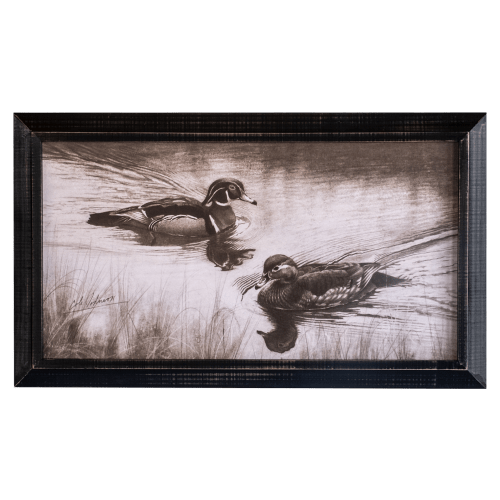 Open Road Brands Duck Framed MDF Wall Art by Cole Johnson