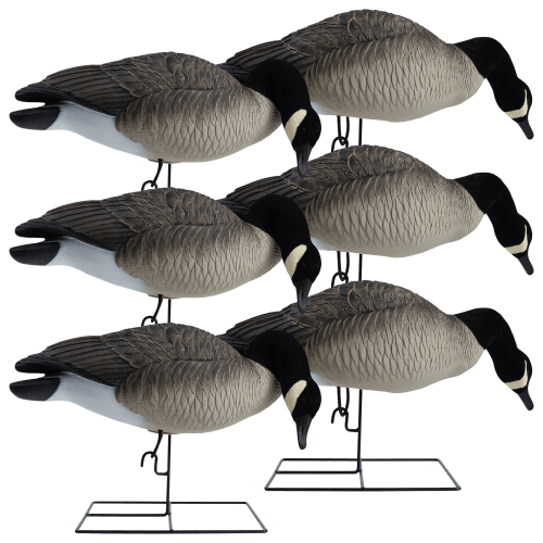 Hardcore Rugged Series Full-Body Canada Goose Feeder Decoys