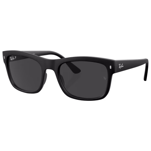 Ray-Ban RB4428 Glass Polarized Sunglasses