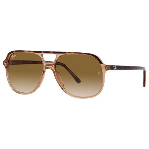 Ray-Ban Bill RB2198 Glass Gradient Sunglasses