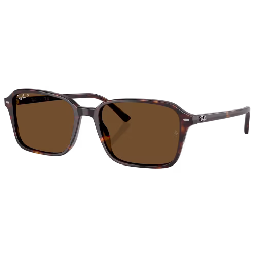 Ray-Ban Raimond RB2231 Glass Polarized Sunglasses