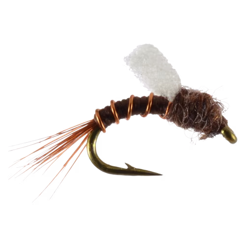 Rainy's Chocolate Thunder Fly