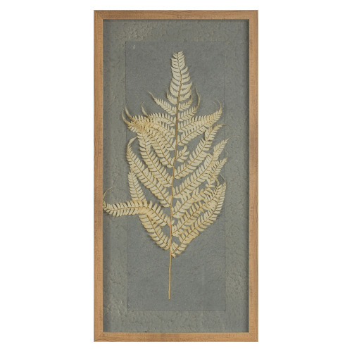 Melrose International Framed Dried-Fern Wall Art Set of 2