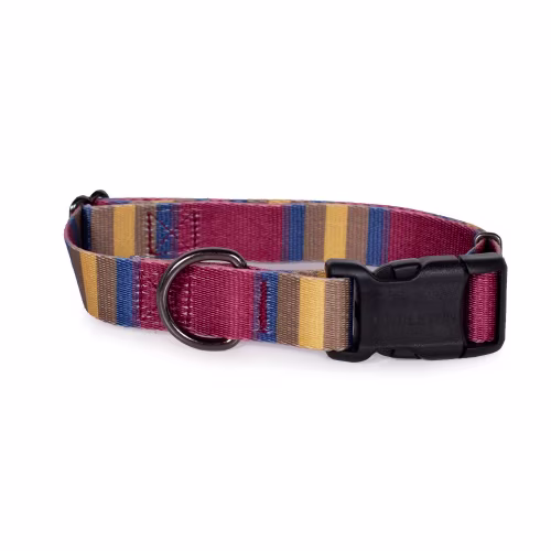 Pendleton Pet Zion National Park Adventure Dog Collar