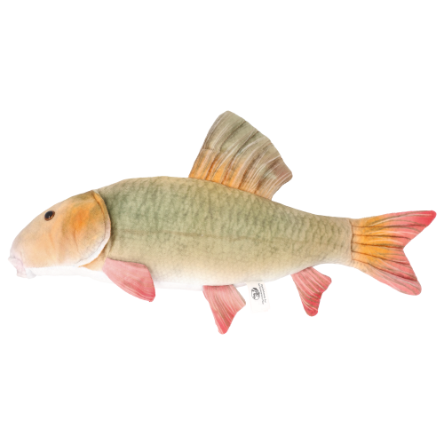 Bass Pro Shops Plush Stuffed Redhorse Sucker