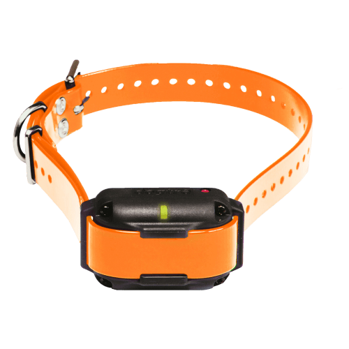 Dogtra 2300NCP Additional E-Collar for Dogs