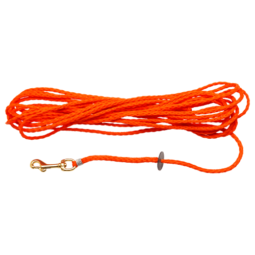 Dokken's Puppy Check Cord Dog Leash