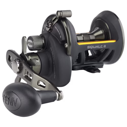 PENN Squall II Star Drag Conventional Reel