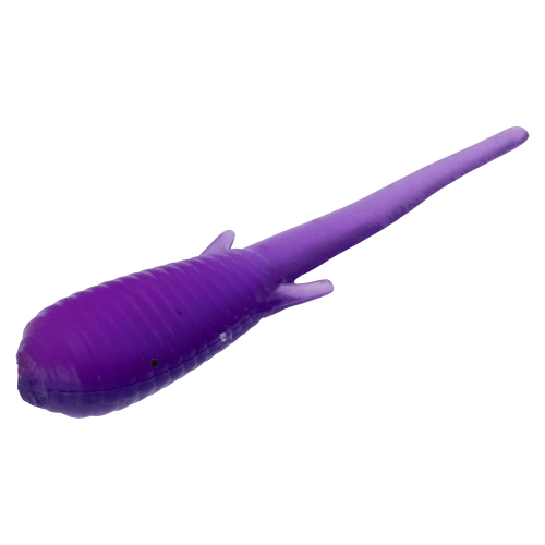 Clam Niku Soldier Fly