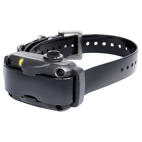Dogtra YS600 No-Bark Large Dog E-Collar Dog Training System