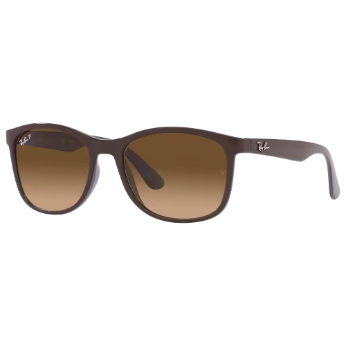 Ray-Ban RB4373 Gradient Glass Polarized Sunglasses
