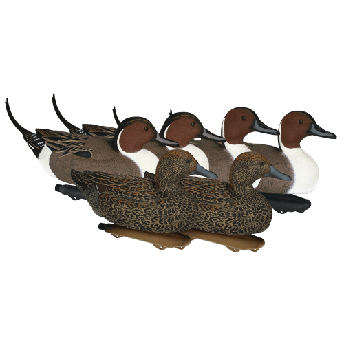 Northern Flight Pintail Duck Decoys