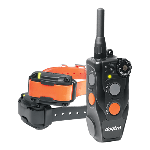 Dogtra 202C 2-Dog E-Collar Training System