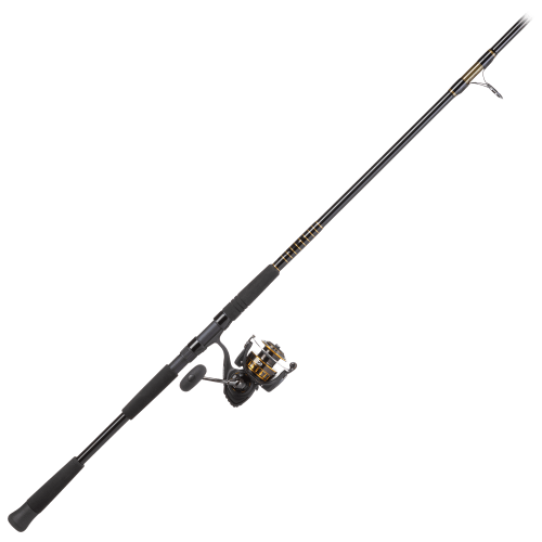 Daiwa BG Offshore Spinning Combo
