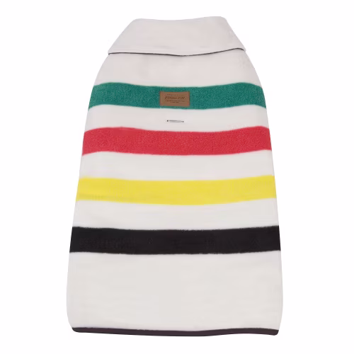 Pendleton Pet Glacier National Park Dog Coat