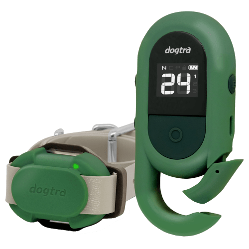 Dogtra CUE Green E-Collar Dog-Training System